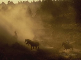 Cowboys participating in a wild horse roundup; Photo by: B & C Gillingham