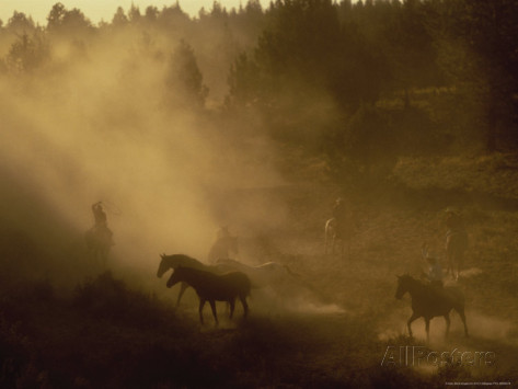 Cowboys participating in a wild horse roundup; Photo by: B & C Gillingham