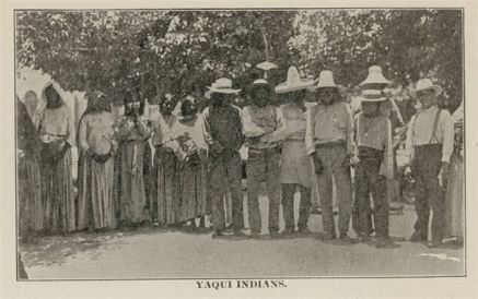 Desert Gold - Yaqui Indians