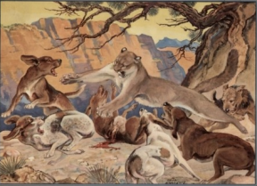 Mountain lion dogs at bay; Paul Branson