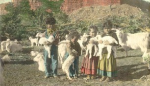 Navaho children and baby goats; Photo from Florence Barker photograph collection