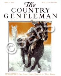 Wildfire - The Country Gentleman